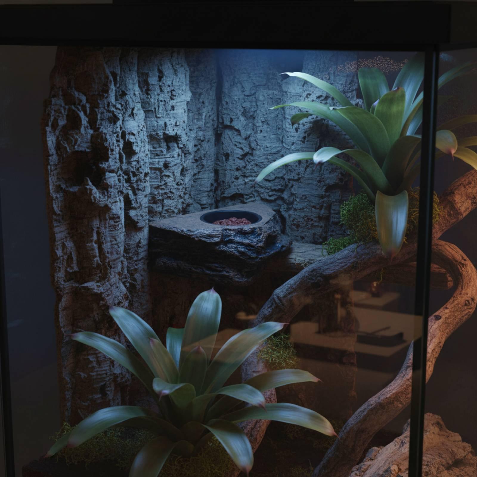 Water Dish Reptile - 게코 먹이 및 물통 선반, 위치