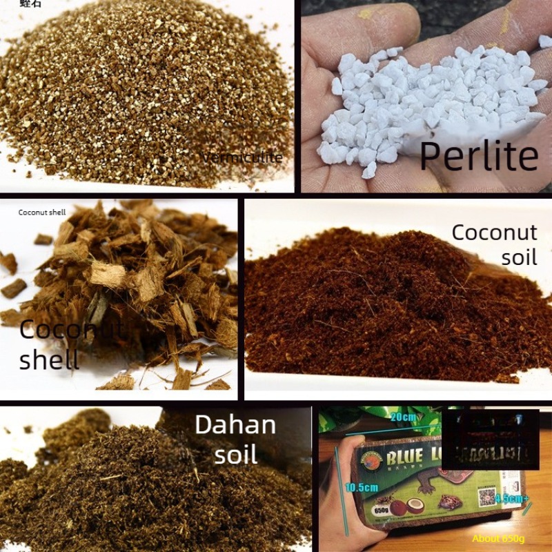 코코넛 토양 벽돌 파충류 배지 거북이 도마뱀 비바리움  - Substrate Coconut Fiber 리뷰 및 가격