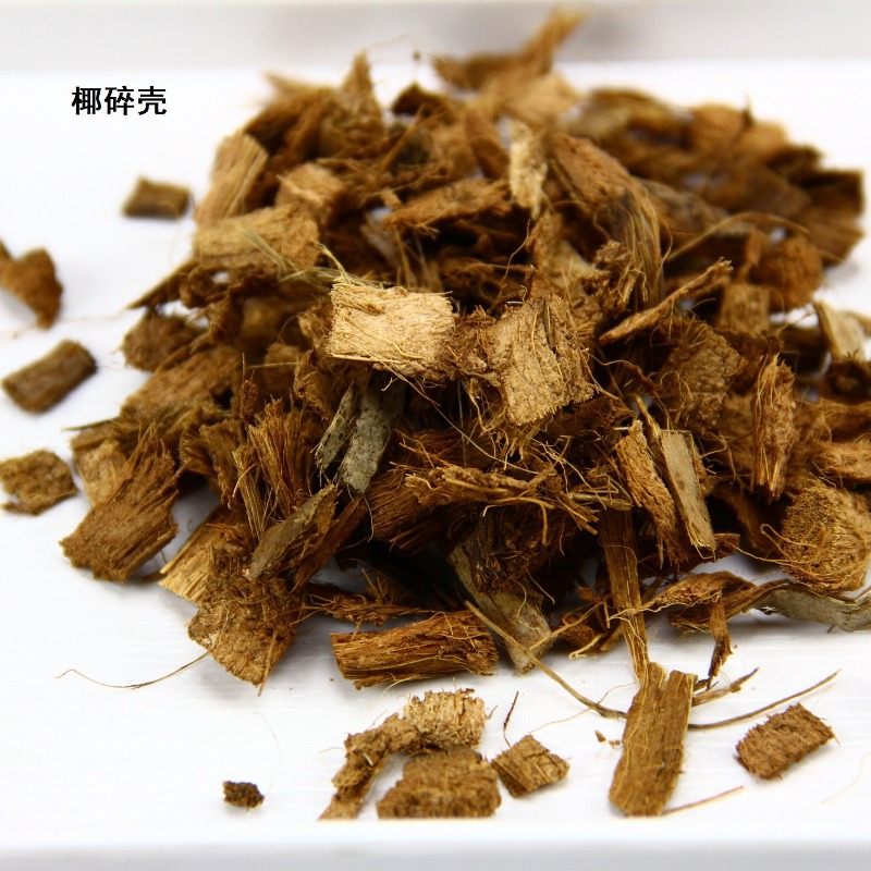 코코넛 토양 벽돌 파충류 배지 거북이 도마뱀 비바리움  - Substrate Coconut Fiber 리뷰 및 가격