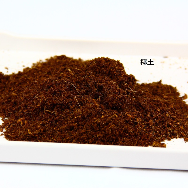 코코넛 토양 벽돌 파충류 배지 거북이 도마뱀 비바리움  - Substrate Coconut Fiber 리뷰 및 가격