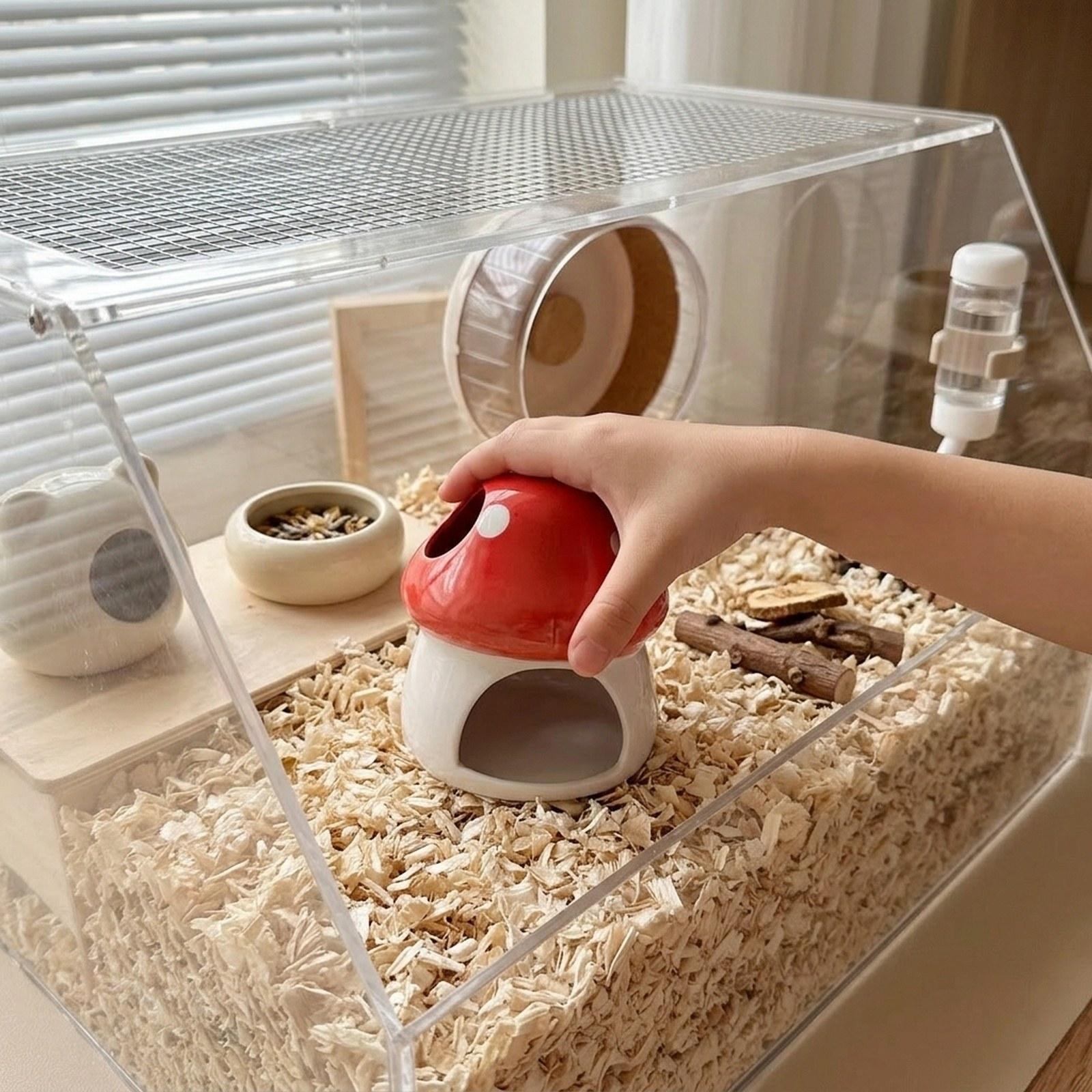 세라믹 햄스터 하우스 동굴 서식지 햄스터 은신처 침대  - Hide Cave Ceramic 리뷰 및 가격